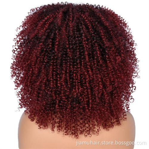 Short Hair Afro Kinky Curly Wigs With Bangs For Women African Synthetic Ombre Cosplay Wigs Wholesale